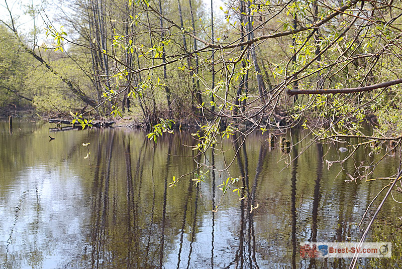 Форты Брестской крепости. Фото Владимира Жукова