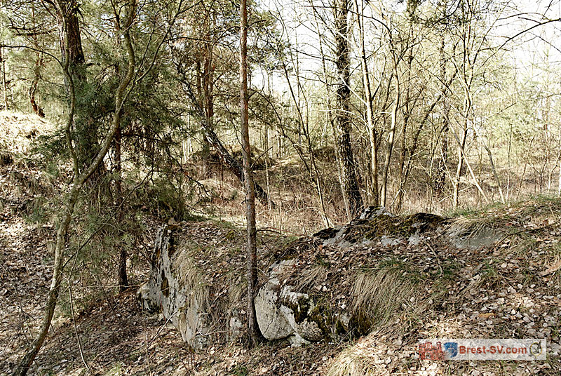 Форты Брестской крепости. Фото Владимира Жукова